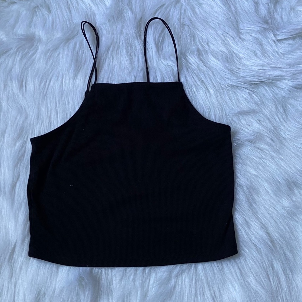 Wild Fable | Crop Top